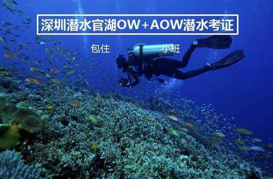 第一次相亲应该由谁买单？游戏画面